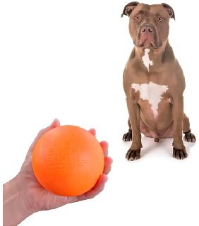 Bola de Borracha para Cães Média e Grande: Resistência e Lazer