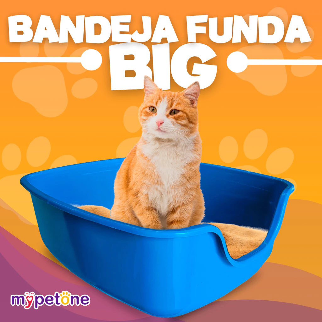 🐱 Caixa de Areia para Gatos