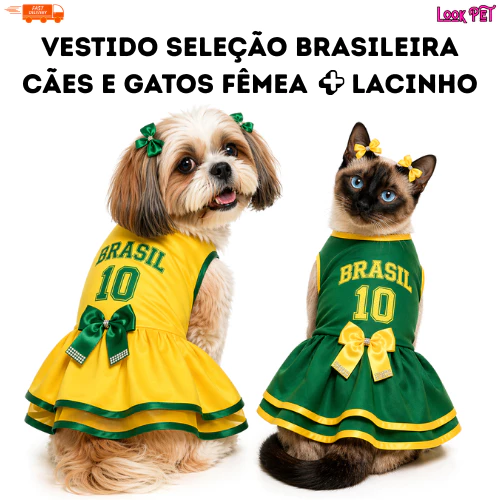💛💚 Vestido Seleção Brasileira para Pet Fêmea